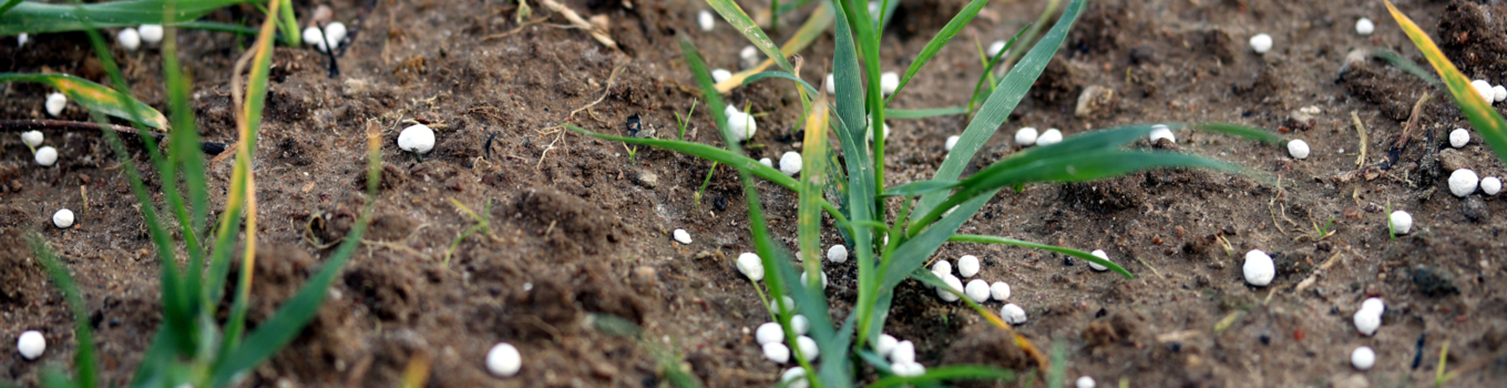 Basic fertilizers